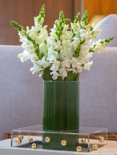 Boca de Leão na Caixa By Gabs na internet