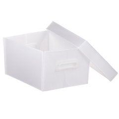 CAIXA ORGANIZADORA POLIONDA PLUS GRANDE CRISTAL