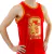 Remera Musculosa | Harry Potter - Gryffindor - FOTOCAJA | Tienda Geek 