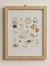 Cuadros infantiles - Colección Petit - Estudio Kiwi
