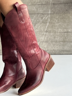 FENIX BORDO en internet