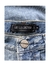 Le Lis Blanc - Calça Nanda - 44 - loja online