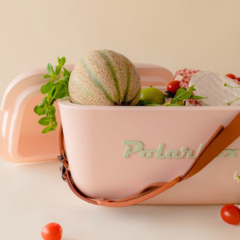 Imagen de CONSERVADORA POLARBOX
