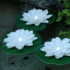Flor flotante Led