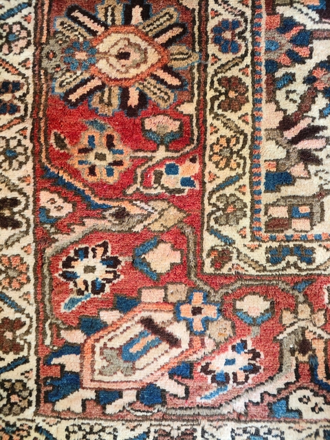 Tapete persa Backthiar 2,75 x 2,20