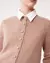 Cardigan Camaleon en internet