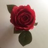 Argola Rosa Bárbara - comprar online