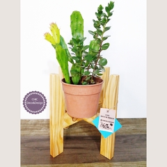 PORTA MACETA DE MADERA ESTILO NÓRDICO BARNIZADO