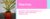 Imagem do banner rotativo 2