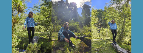 Imagen del carrusel 1