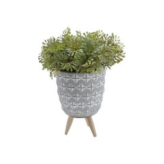 Cachepô de concreto com tripé de madeira - comprar online