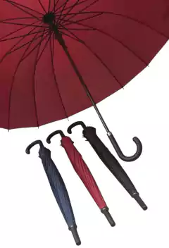 PARAGUA LARGO