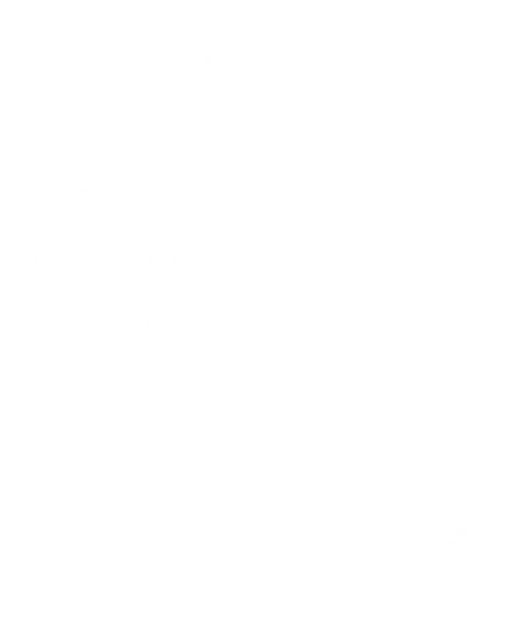 MG PARTY STORE