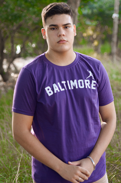 Camiseta Baltimore - comprar online