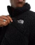 Imagen de Campera Sherpa 2000 The North Face
