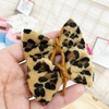 Parzinho Animal print oncinha