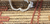 Slider image Trapos e Fiapos