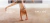 Imagem do banner rotativo Trapos e Fiapos
