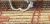 Imagem do banner rotativo Trapos e Fiapos