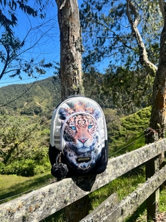 MORRAL URBAN EXPAN JAGUAR BLANCO on internet