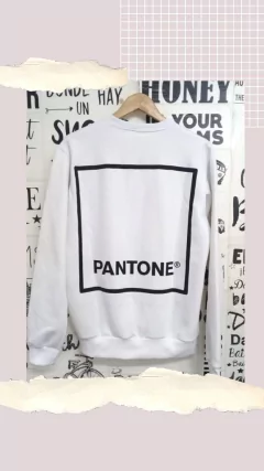 BUZO PANTONE - comprar online
