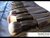 COASTAL SCENTS - 22 Piece Brush Set en internet