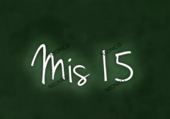 CARTEL NEON LED MIS 15