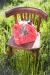 Picnic Navideño - comprar online