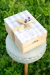Caja Arte Agus Gallo
