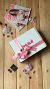 Press Kit - Karina Sdrubolini