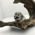 Anillo calavera tercer ojo 127 - comprar online