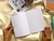 KIT CADERNOS TRIMESTRAIS PLANNER 2023 - Recortes - loja online