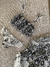 Bombacha Faline Black & White - tienda online