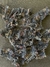 Bombacha faline Flowers - comprar online