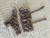 Corpiño faline Flowers - CALCA
