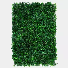 Jardin Vertical Buenos Aires Oscuro 40×60