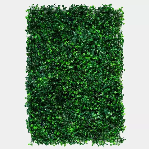 Jardin Vertical Buenos Aires Oscuro 40×60