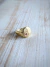 Cerato gold