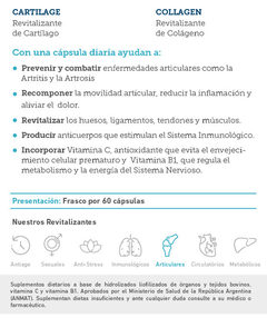 Pack Articular 2 Meses Cartílago Colágeno Artritis Artrosis en internet