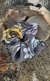 Scrunchie Belen Gris