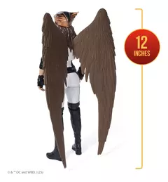 HAWKGIRL DE SUPERMAN 30CM 11 PÚNTOS DE ARTICULACION - legalot y sensual game