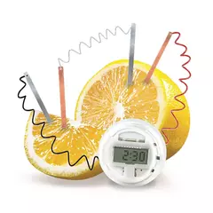 RELOJ ALIMENTADO POR LIMON 4M