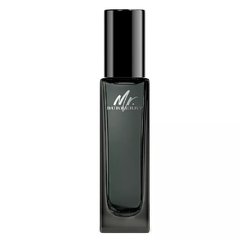 Mr. Burberry - Perfume Masculino - Eau de Parfum - comprar online
