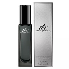 Mr. Burberry - Perfume Masculino - Eau de Parfum