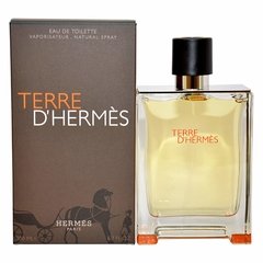 Terre D'Hermés Eau De Toilette Masculino - 100 ml