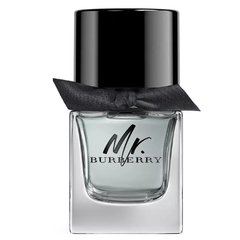 Mr. Burberry - Perfume Masculino - Eau de Toillet - Beauty Chic