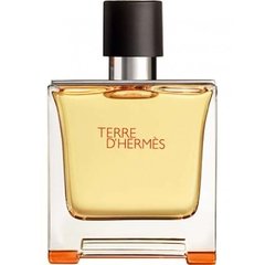 Terre D'Hermés Eau De Toilette Masculino - 100 ml - comprar online