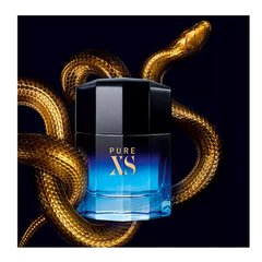 Pure XS Paco Rabanne Perfume Masculino - Eau de Toilette - Beauty Chic