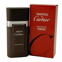 Santos Cartier - Perfume Masculino - Eau de Toilette - 100ml