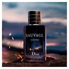 Sauvage Dior - Perfume Masculino - Eau de Parfum - comprar online